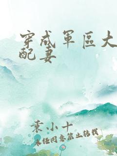 穿成军区大佬女配妻