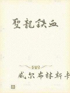 圣龙铁血
