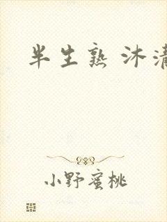 半生熟 沐清雨