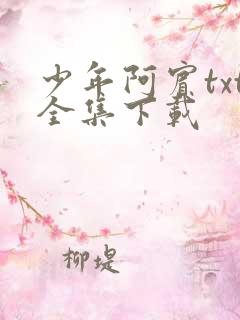 少年阿宾txt全集下载