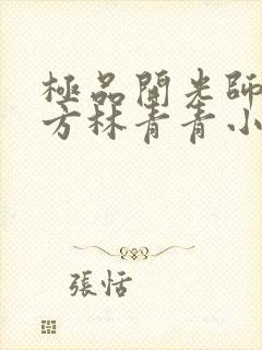 极品开光师李南方林青青小说叫