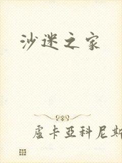 沙迷之家