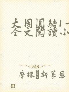 大团圆结1一6全文阅读小说