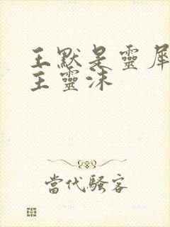 王默是灵犀阁公主灵沫