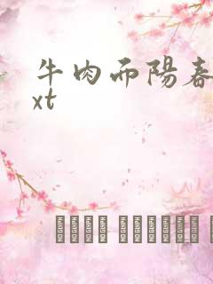 牛肉面阳春面txt