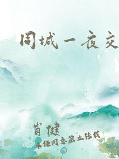 同城一夜交友