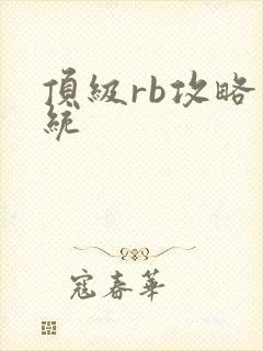 顶级rb攻略系统