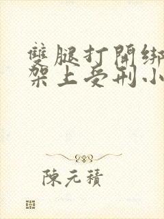 双腿打开绑在刑架上受刑小说