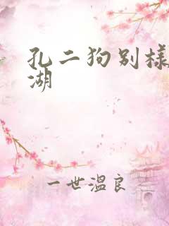 孔二狗别样的江湖