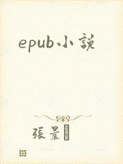 epub小说