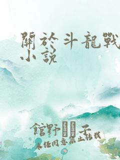 关于斗龙战士的小说