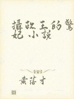 摄政王的惊世嫡妃 小说