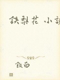 铁梨花 小说