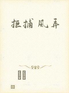 拒捕 风弄
