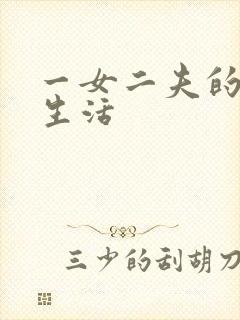 一女二夫的激情生活