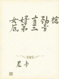 女婿有劲枪枪到底第三章