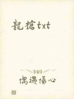 龙枪txt
