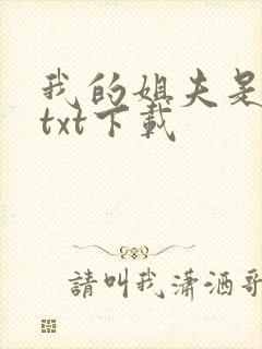 我的姐夫是太子txt下载