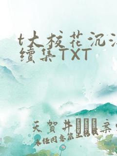 t大校花沉浮录续集TXT
