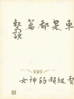 整篇都是车的小说