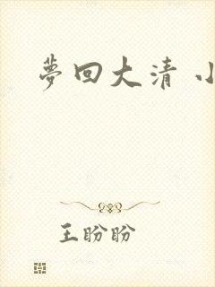 梦回大清 小说