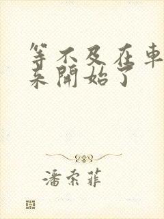 等不及在车里就来开始了