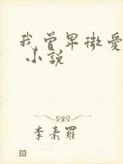 我曾卑微爱过你 小说