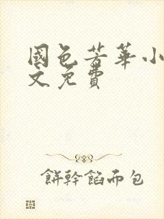 国色芳华小说全文免费