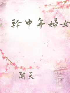 干中年妇女小说