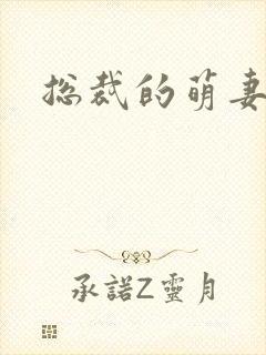 总裁的萌妻欢宝