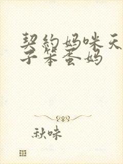 契约妈咪天才儿子笨蛋妈