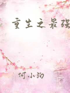 重生之最强英雄