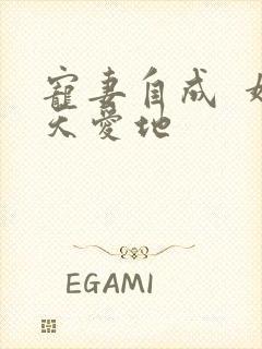 宠妻自成  婚天爱地