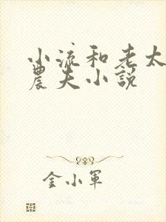 小流和老太69农夫小说