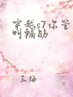 穿越s7你管这叫辅助