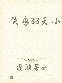 失恋33天小说