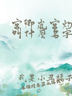 宫卿岚宫灼小说叫什么名字