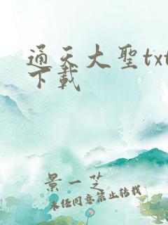 通天大圣txt下载