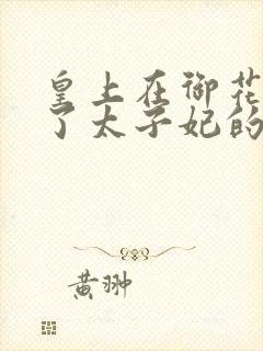 皇上在御花园c了太子妃的网剧