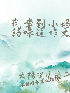 我尝到小妈苏蕊的味道作文谁写的