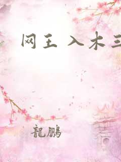 网王 入木三分