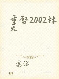 重启2002林天