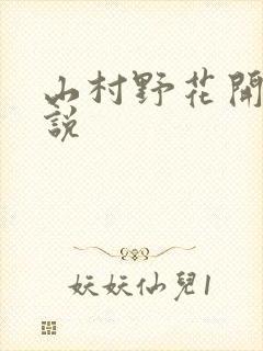 山村野花开 小说