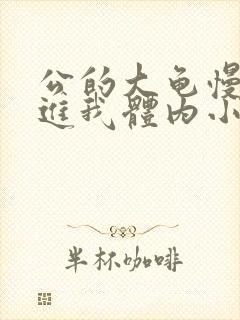 公的大龟慢慢挺进我体内小说