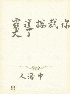 霸道总裁你的太大了