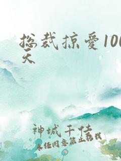 总裁掠爱100天
