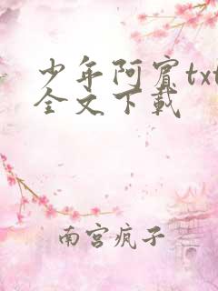 少年阿宾txt全文下载