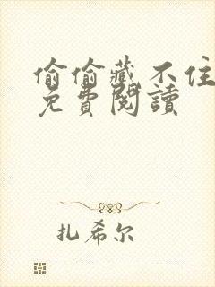 偷偷藏不住小说免费阅读