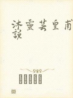 沐灵芸皇甫霆小说