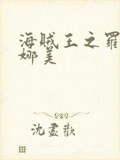 海贼王之罗宾h娜美